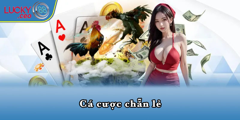 Cá cược chẵn lẻ