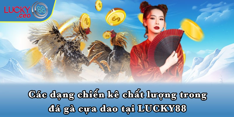 Các dạng chiến kê chất lượng trong đá gà cựa dao tại LUCKY88