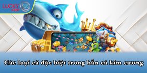 Các loại cá đặc biệt trong bắn cá kim cương