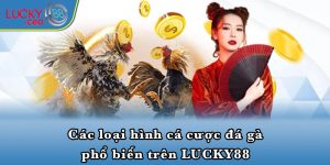 Các loại hình cá cược đá gà phổ biến trên LUCKY88