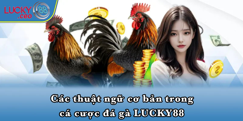 Các thuật ngữ cơ bản trong cá cược đá gà LUCKY88