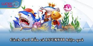 Cách chơi Bắn cá LUCKY88 hiệu quả