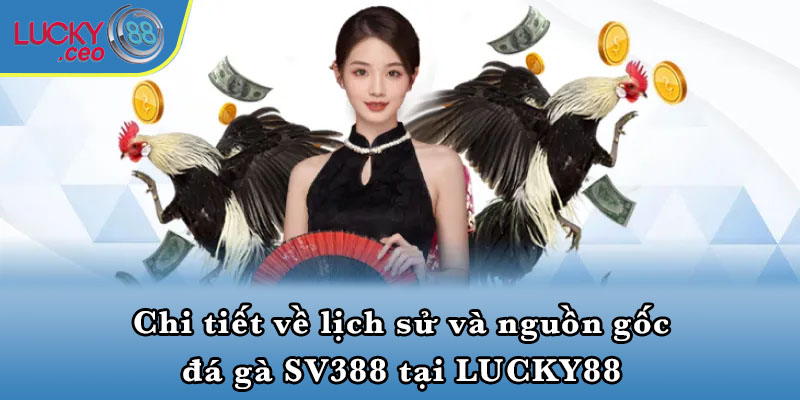 Chi tiết về lịch sử và nguồn gốc đá gà SV388 tại LUCKY88