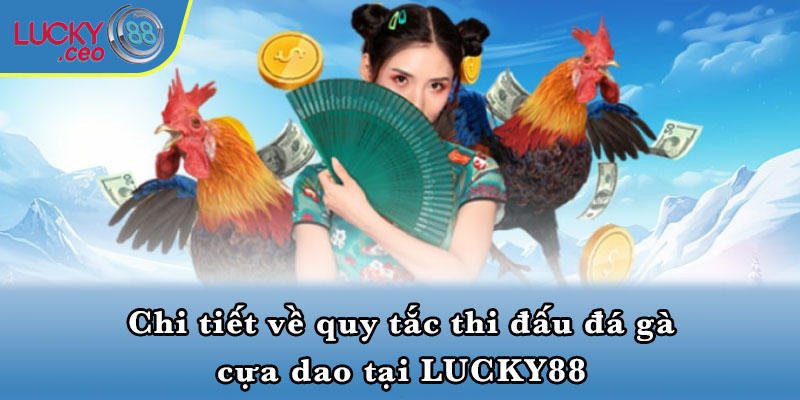 Chi tiết về quy tắc thi đấu đá gà cựa dao tại LUCKY88